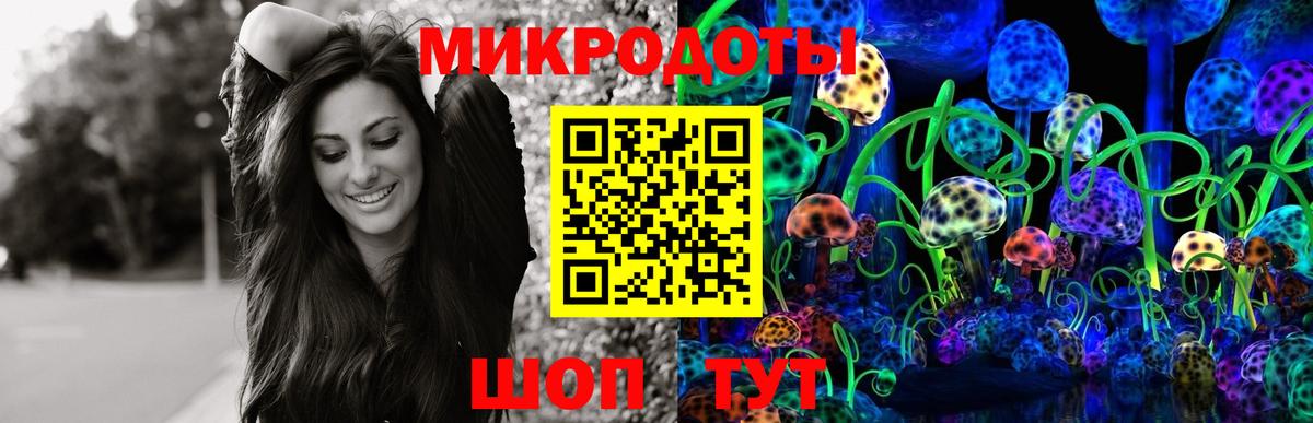 Псилоцибиновые грибы прущие грибы Вязники
